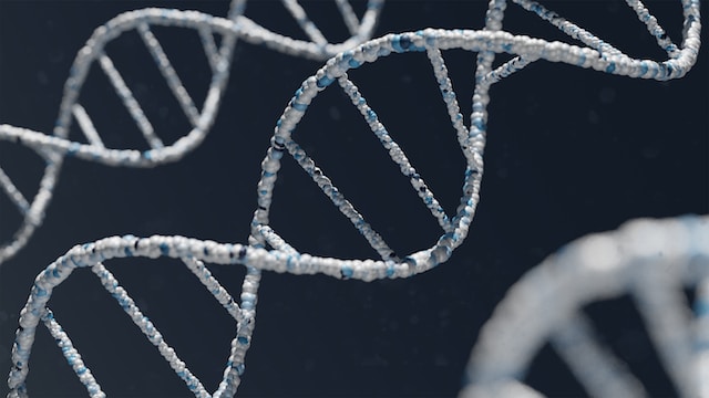 DNA veri bankaları dna profilleri